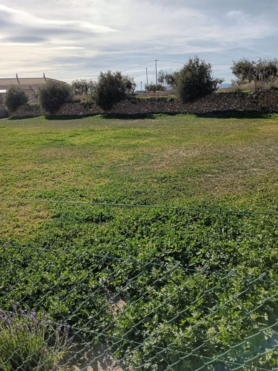 3 soveværelse Villa til salg i Oria med garage - € 198.950 (Ref: 9205631)