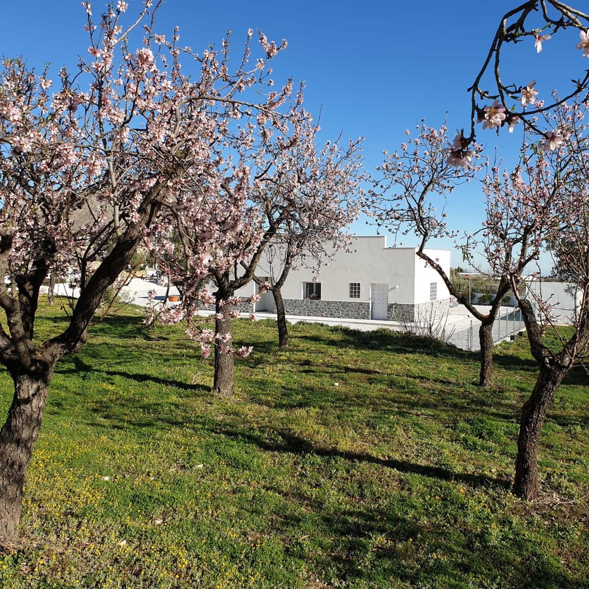 Chalet de 3 habitaciones en Oria en venta con garaje - 198.950 € (Ref: 9205631)