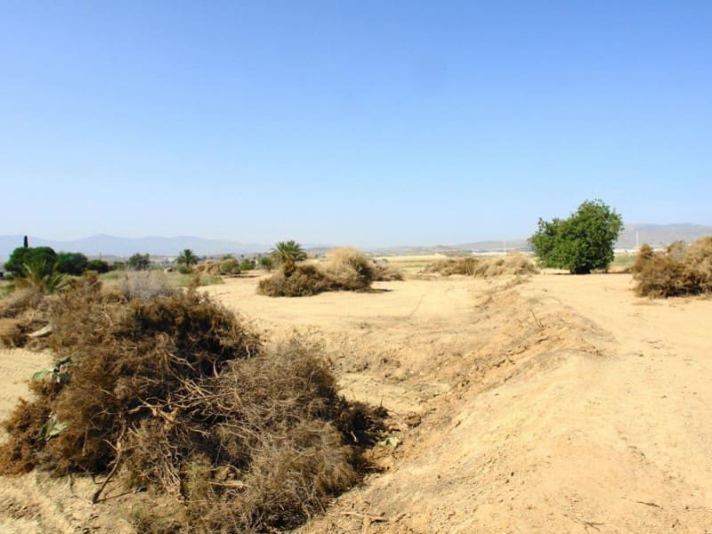 Rakentamaton maa myytävänä paikassa Vera - 60 000 € (Ref: 5239295)