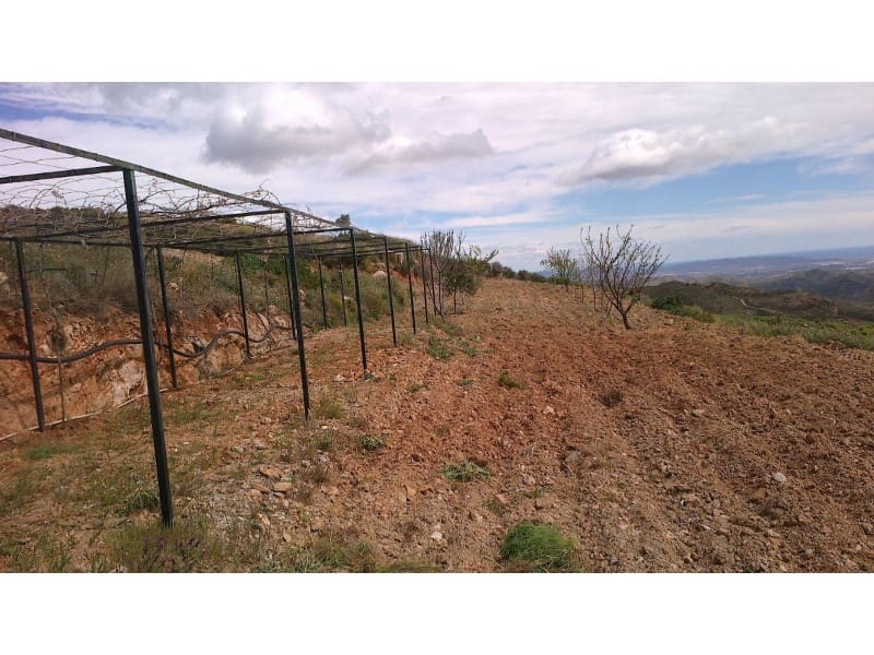 Finka/Dom wiejski na sprzedaż w Lubrin - 240 000 € (Ref: 5239425)