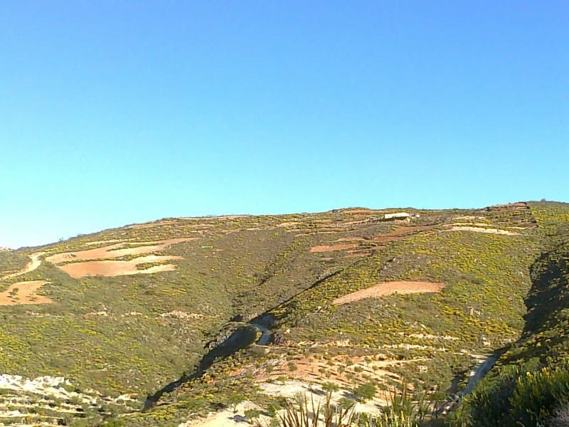 Finka/Dom wiejski na sprzedaż w Lubrin - 240 000 € (Ref: 5239425)