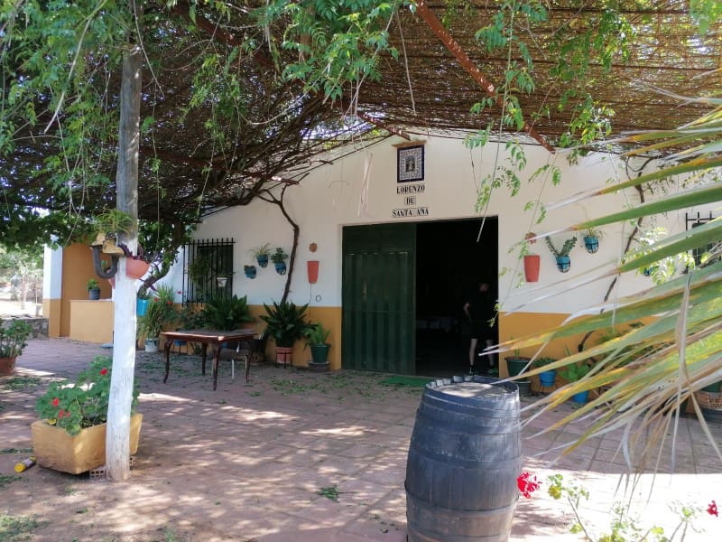 4 bedroom Finca/Country House for sale in Arcos de la Frontera - € 260,000 (Ref: 5442864)