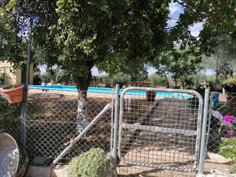 4 bedroom Finca/Country House for sale in Arcos de la Frontera - € 260,000 (Ref: 5442864)