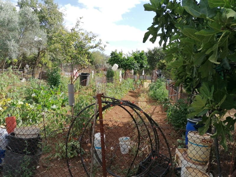 4 bedroom Finca/Country House for sale in Arcos de la Frontera - € 260,000 (Ref: 5442864)