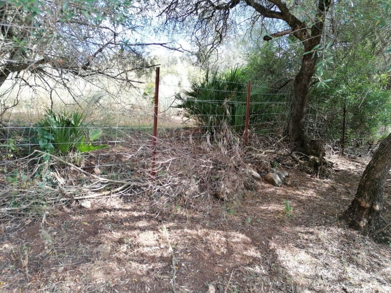 4 bedroom Finca/Country House for sale in Arcos de la Frontera - € 260,000 (Ref: 5442864)