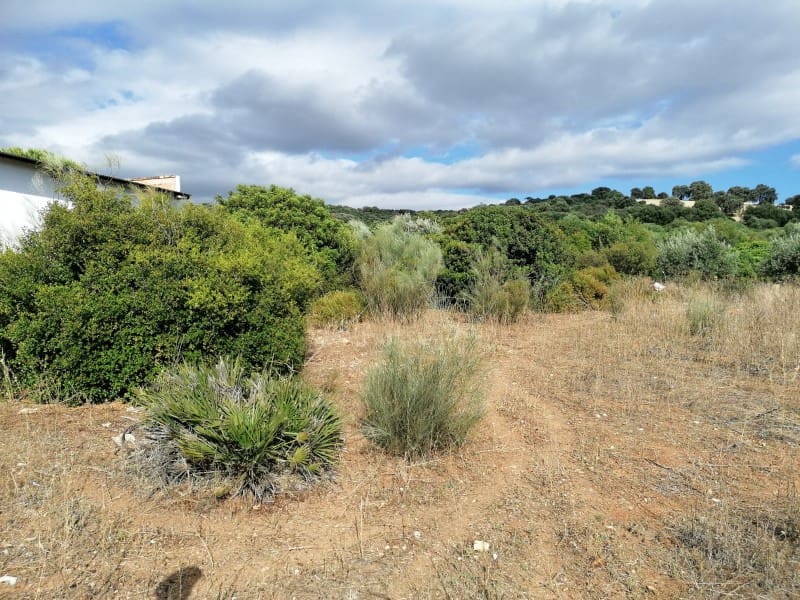 4 bedroom Finca/Country House for sale in Arcos de la Frontera - € 260,000 (Ref: 5442864)