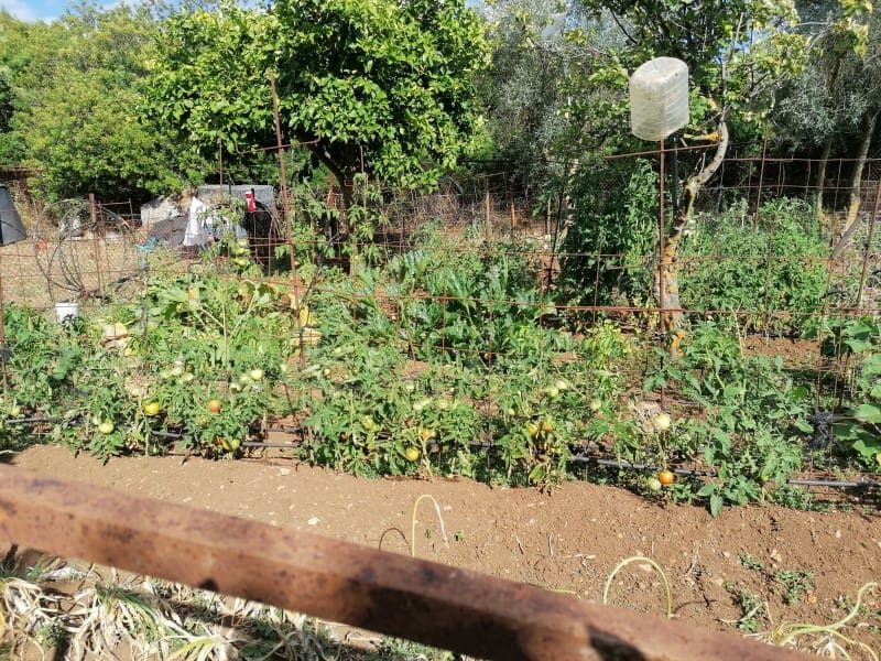 4 bedroom Finca/Country House for sale in Arcos de la Frontera - € 260,000 (Ref: 5442864)