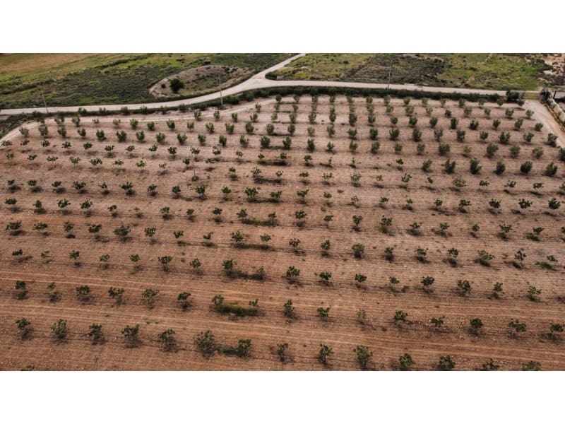 7 makuuhuone Maalaistalo myytävänä paikassa Lorca mukana 
autotalli - 429 000 € (Ref: 7785431)