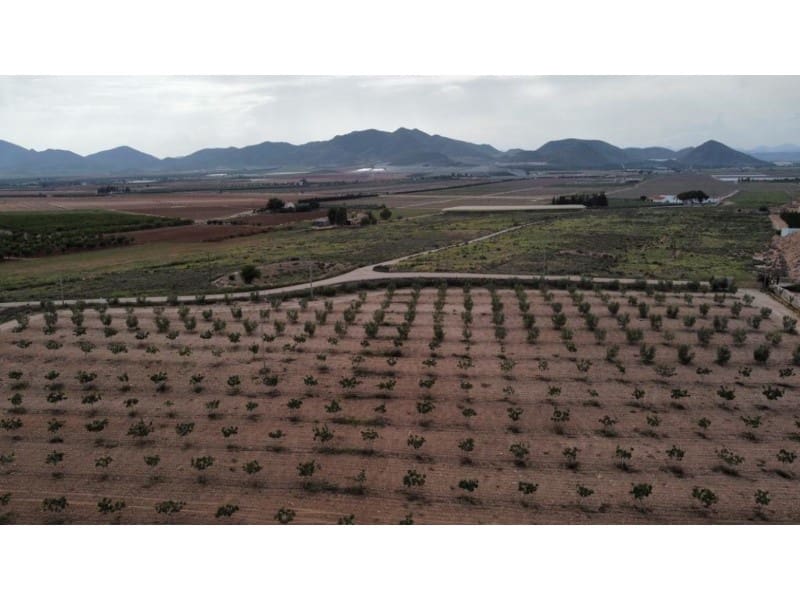 7 makuuhuone Maalaistalo myytävänä paikassa Lorca mukana 
autotalli - 429 000 € (Ref: 7785431)