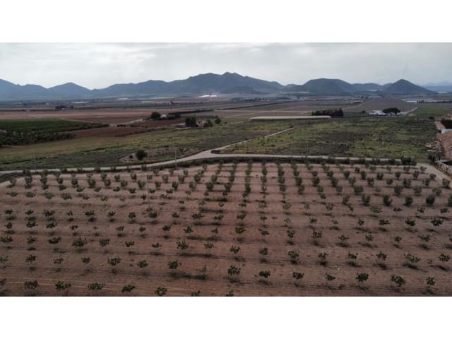 7 makuuhuone Maalaistalo myytävänä paikassa Lorca mukana 
autotalli - 429 000 € (Ref: 7785431)