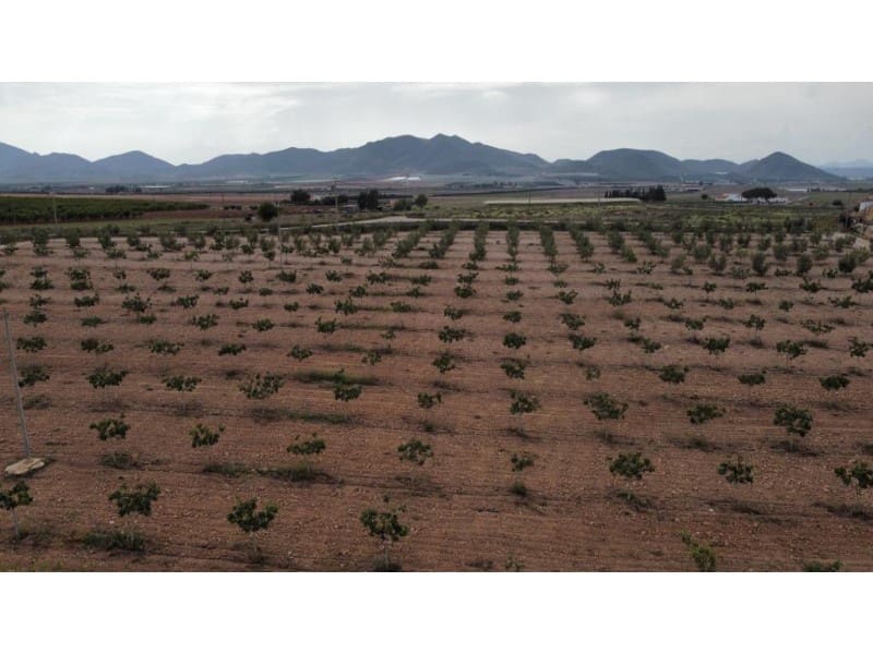 7 makuuhuone Maalaistalo myytävänä paikassa Lorca mukana 
autotalli - 429 000 € (Ref: 7785431)