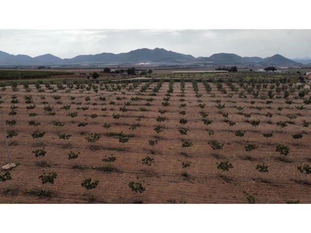 7 makuuhuone Maalaistalo myytävänä paikassa Lorca mukana 
autotalli - 429 000 € (Ref: 7785431)