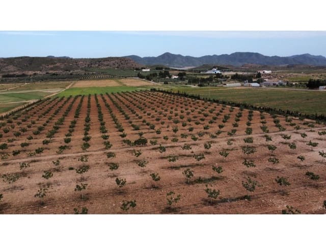 7 makuuhuone Maalaistalo myytävänä paikassa Lorca mukana 
autotalli - 429 000 € (Ref: 7785431)