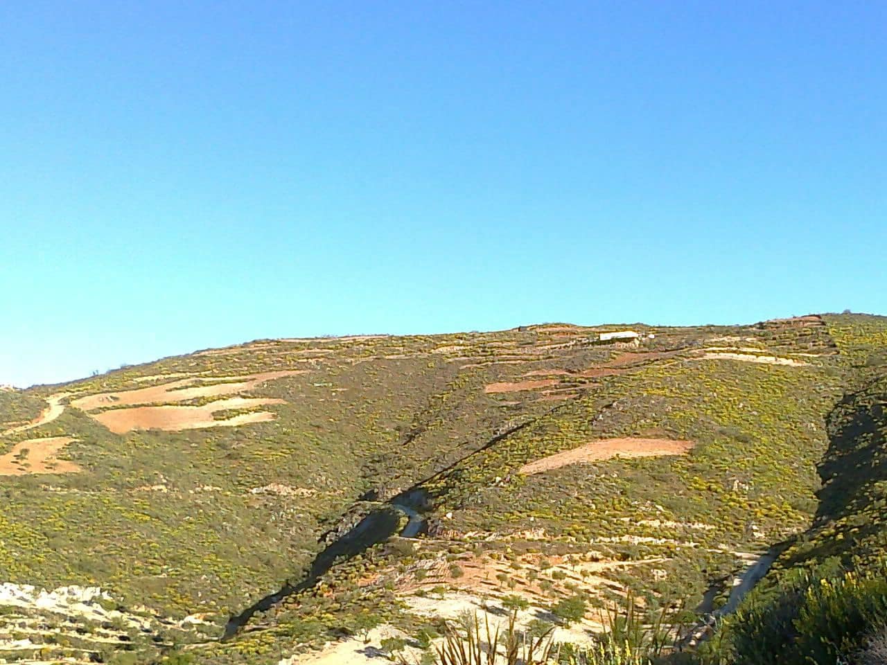 Finca/Country House for sale in Lubrin - € 240,000 (Ref: 9446520)