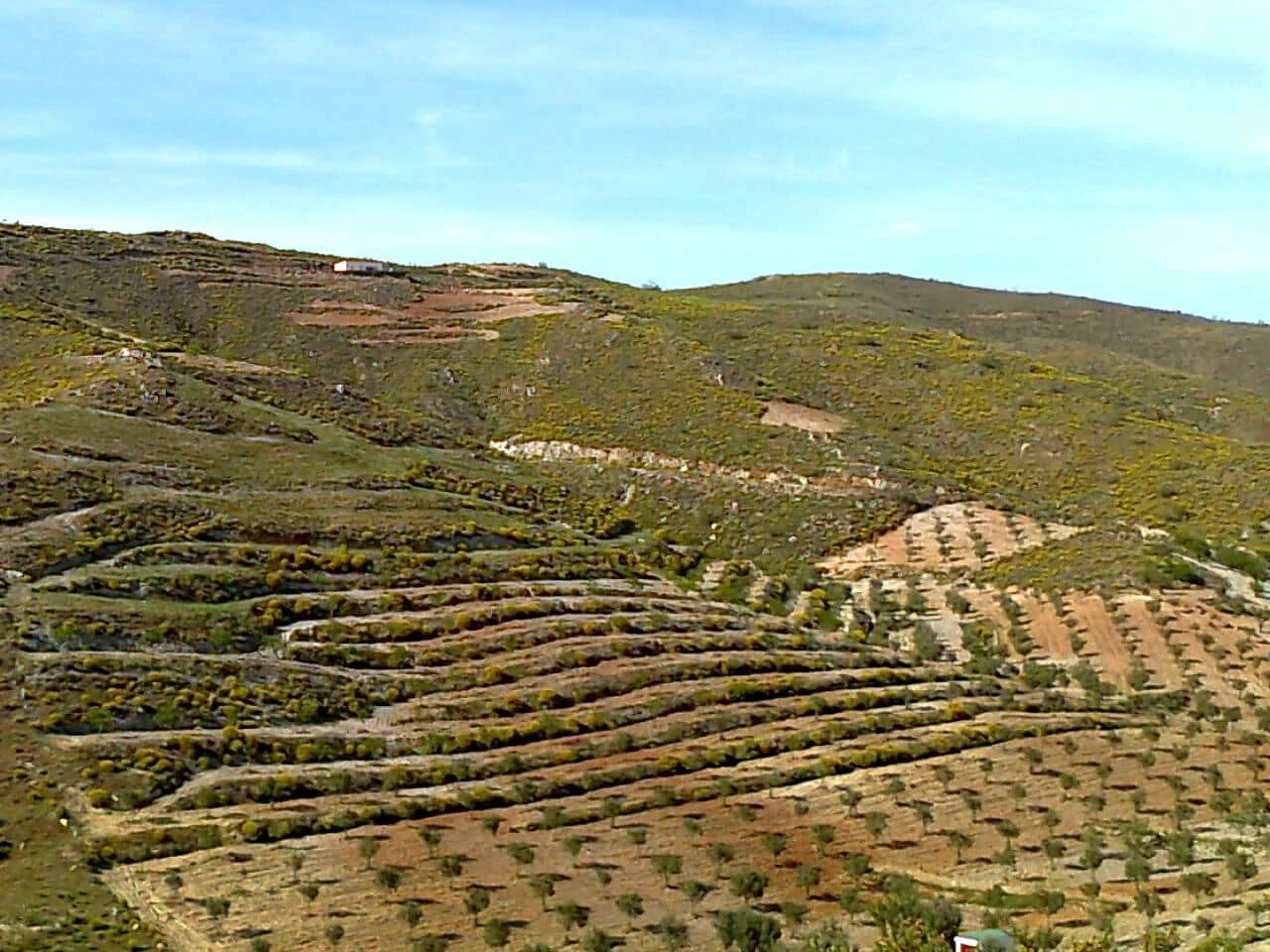 Finca/Country House for sale in Lubrin - € 240,000 (Ref: 9446520)