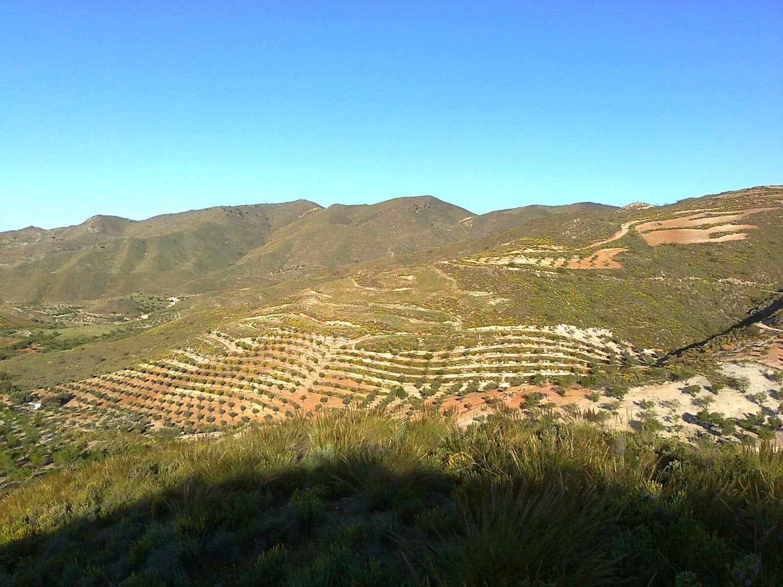 Finca/Country House for sale in Lubrin - € 240,000 (Ref: 9446520)