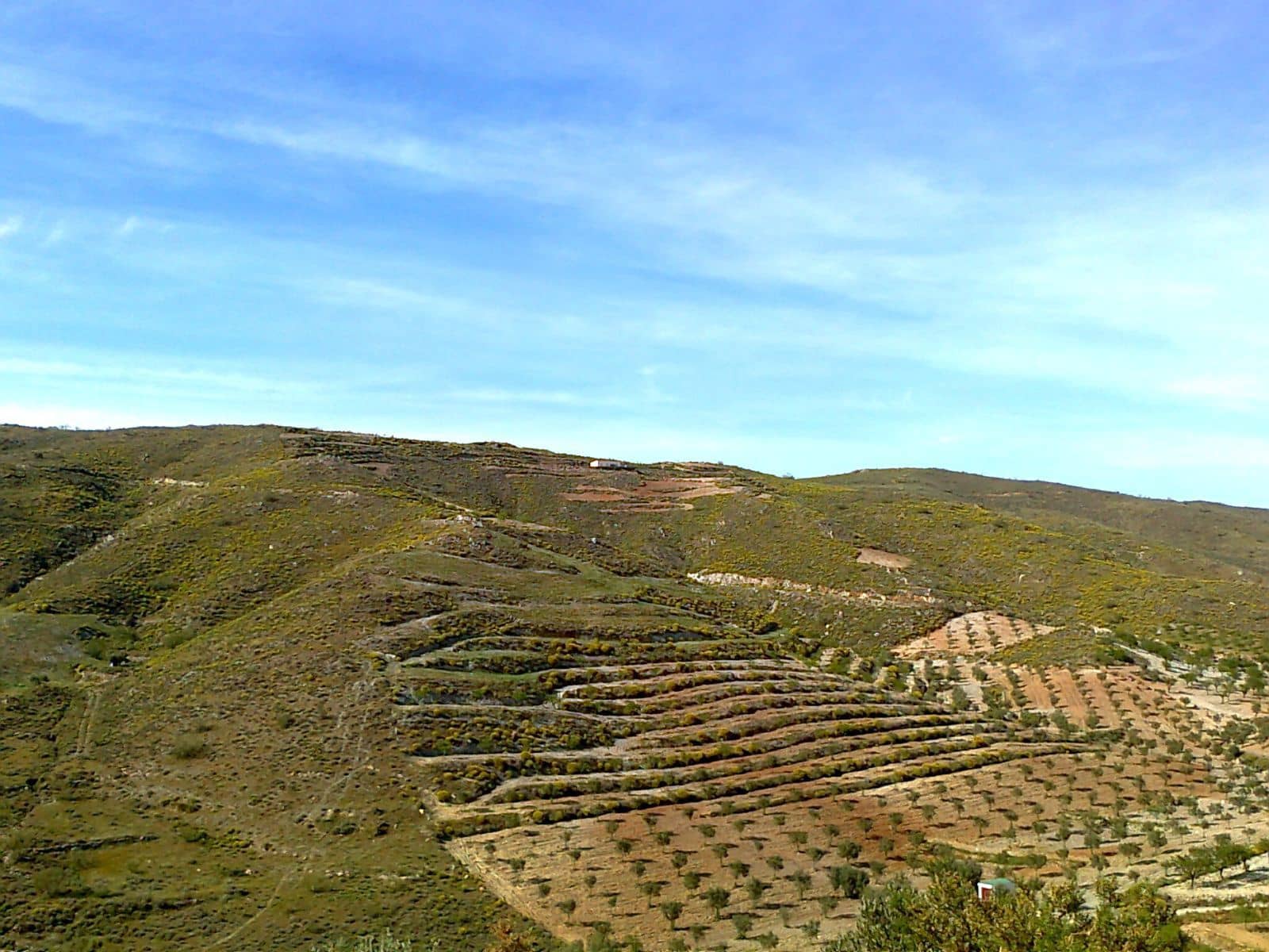 Finca/Country House for sale in Lubrin - € 240,000 (Ref: 9446520)