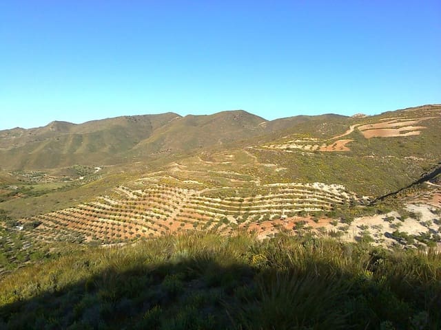 Finka/Dom wiejski na sprzedaż w Lubrín - 240 000 € (Ref: 9446520)