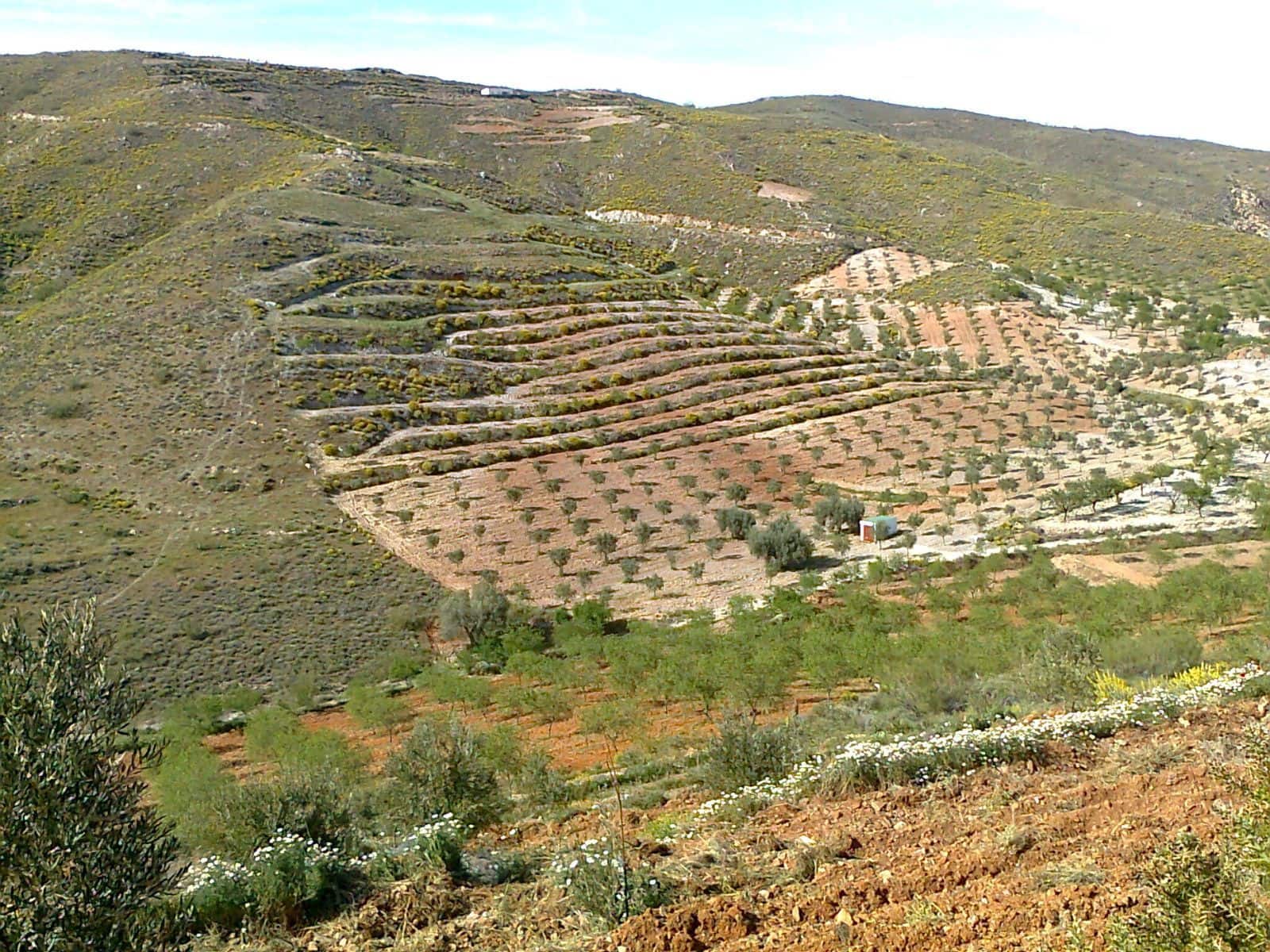 Finca/Country House for sale in Lubrin - € 240,000 (Ref: 9446520)