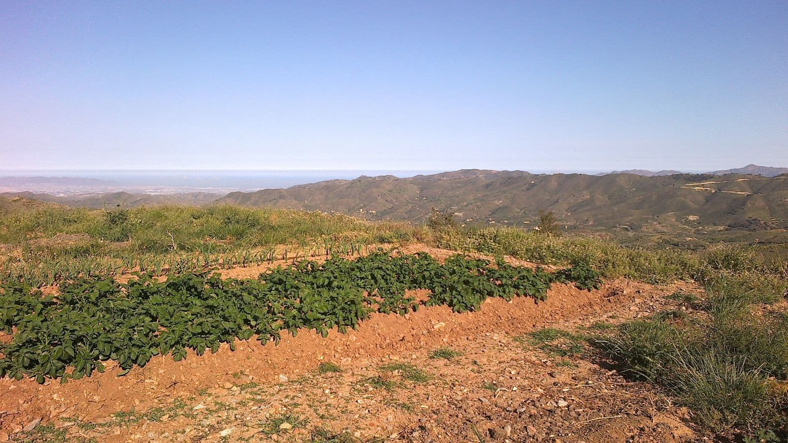 Finca/Country House for sale in Lubrin - € 240,000 (Ref: 9446520)