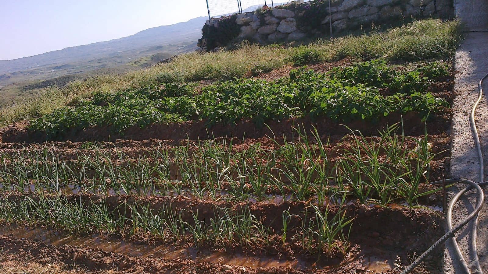 Finca/Country House for sale in Lubrin - € 240,000 (Ref: 9446520)