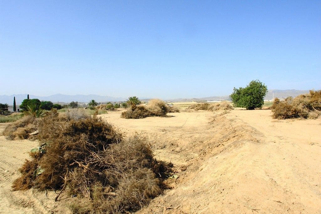 Rakentamaton maa myytävänä paikassa Vera - 60 000 € (Ref: 9446524)