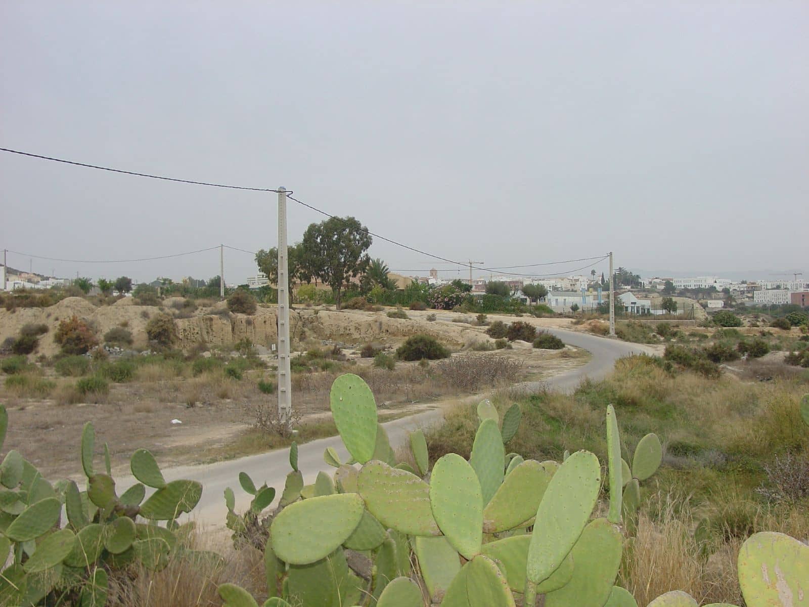 Tontti myytävänä paikassa Vera - 130 000 € (Ref: 9446525)