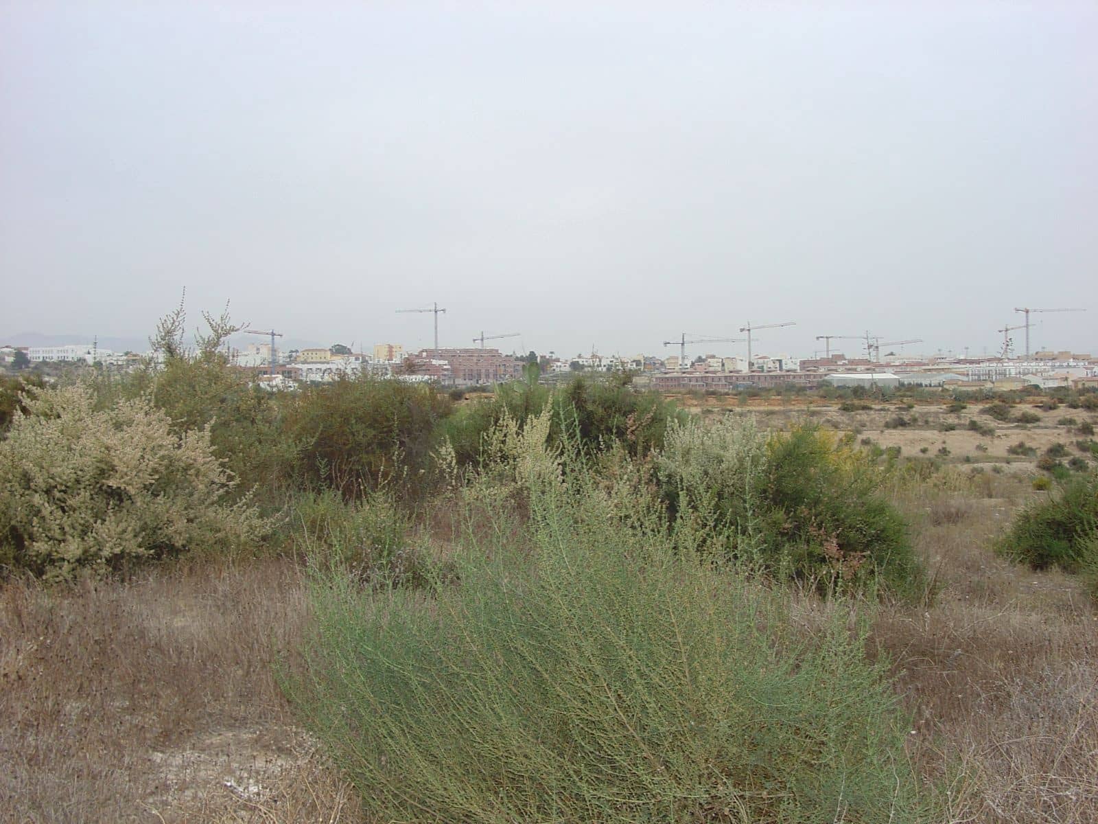 Tontti myytävänä paikassa Vera - 130 000 € (Ref: 9446525)