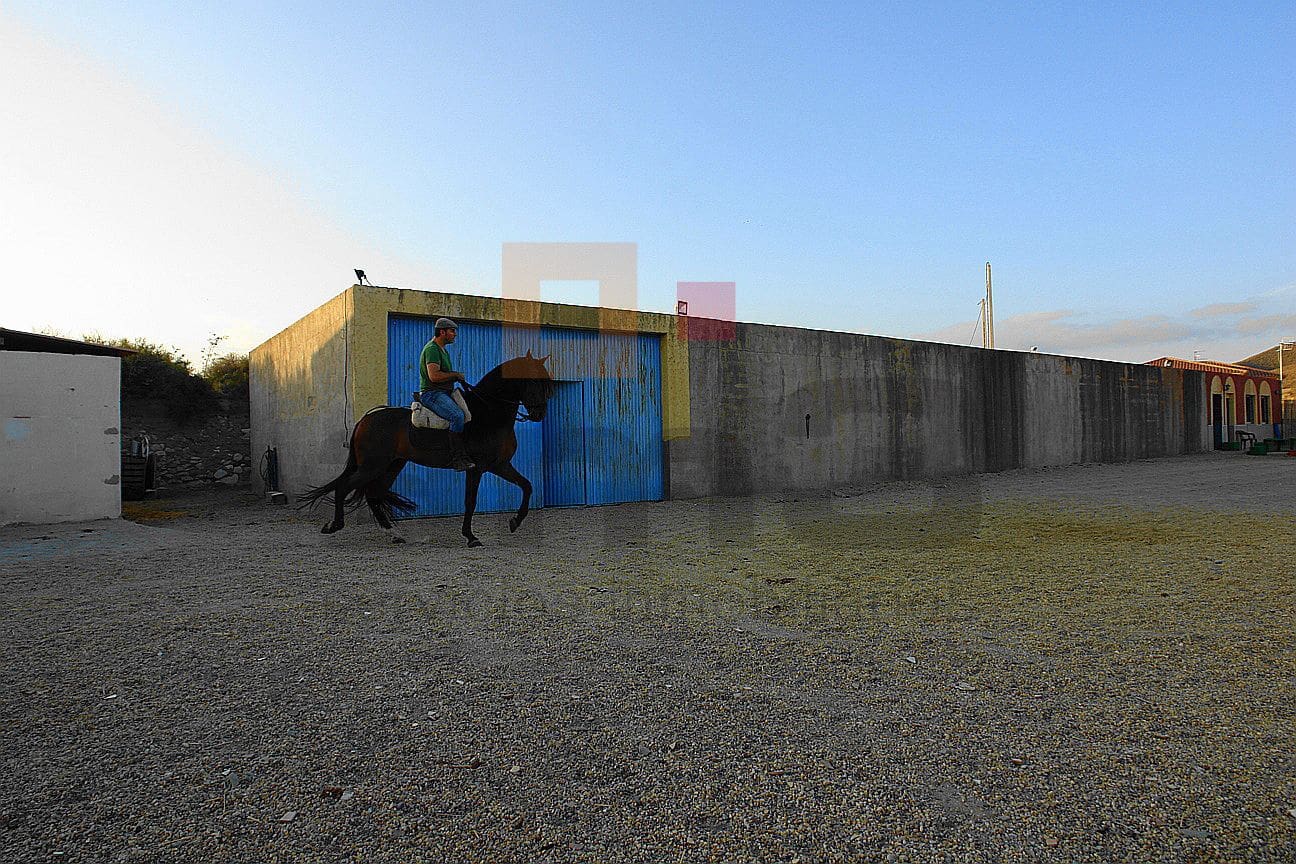 3 soveværelse Villa til salg i Los Llanos (Zurgena) med swimmingpool - € 325.000 (Ref: 9446541)