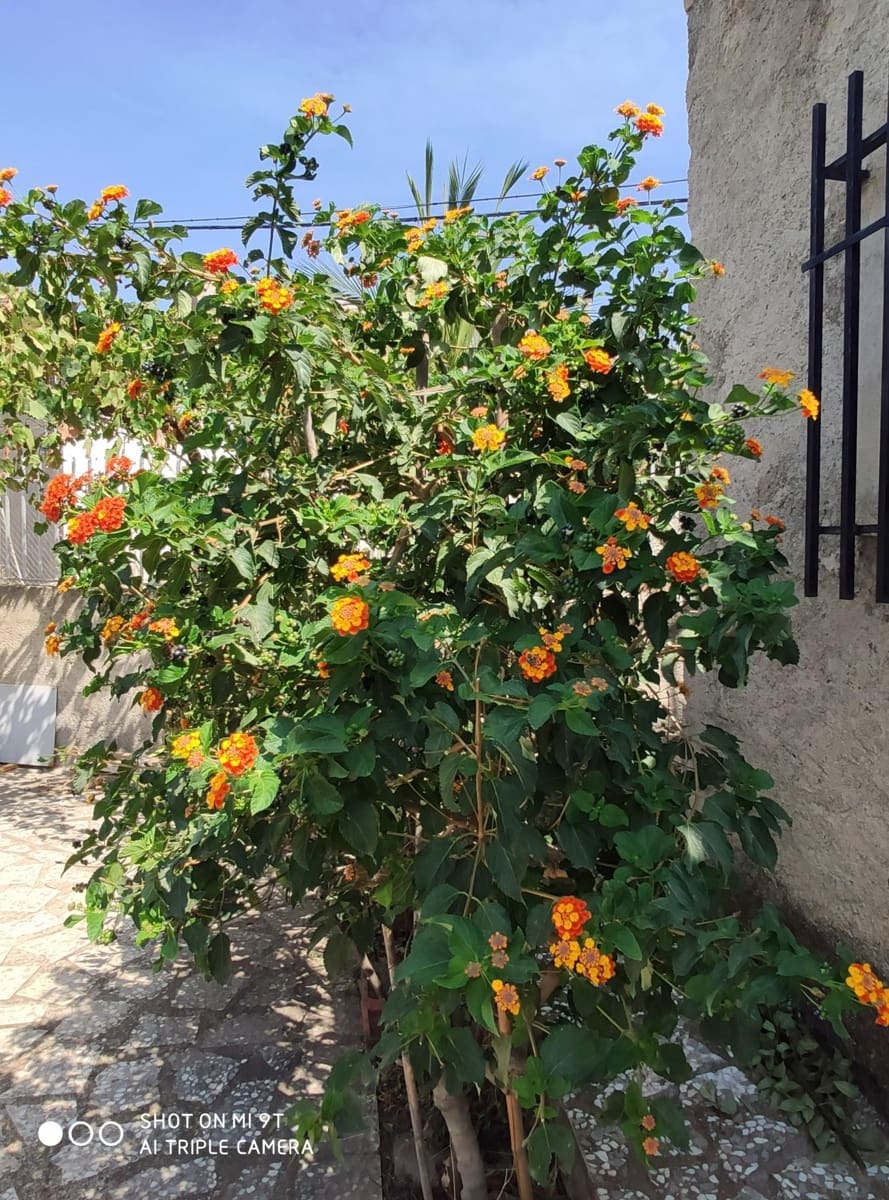 Byggegrund til salg i Lubrin - € 234.000 (Ref: 9446554)