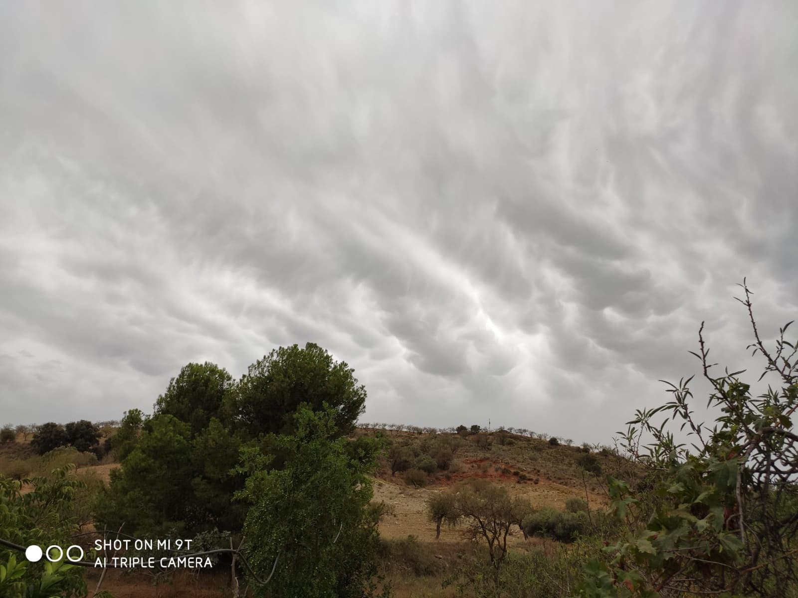 Byggegrund til salg i Lubrin - € 234.000 (Ref: 9446554)