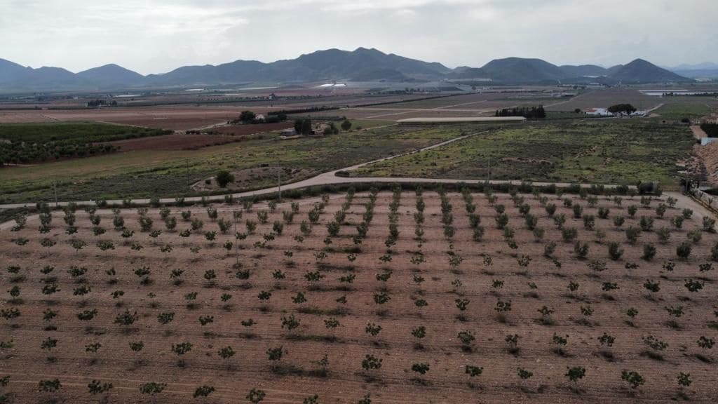 7 soverom Hus til salgs i Purias med garasje - € 429 000 (Ref: 9446580)