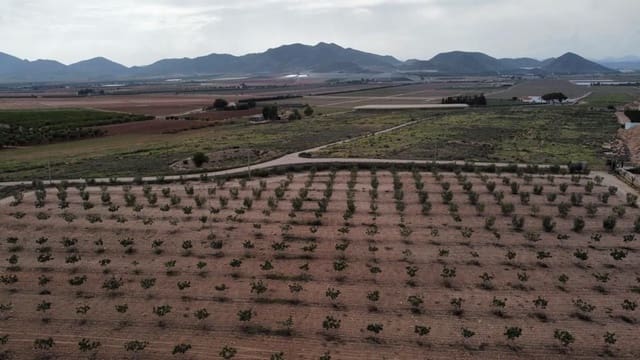 7 soveværelse Byhus til salg i Purias, Lorca med garage - € 429.000 (Ref: 9446580)