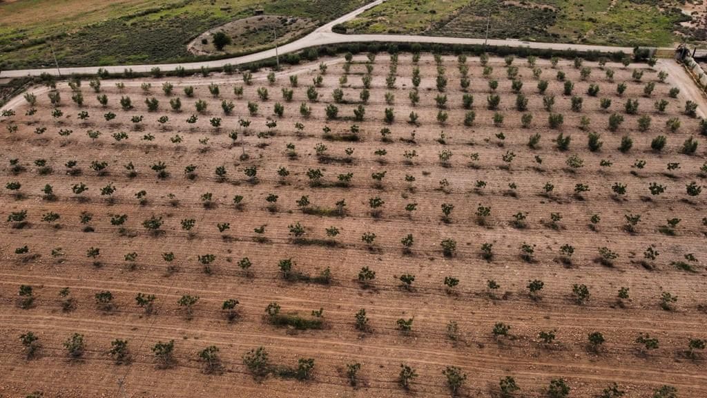 7 soverom Hus til salgs i Purias med garasje - € 429 000 (Ref: 9446580)