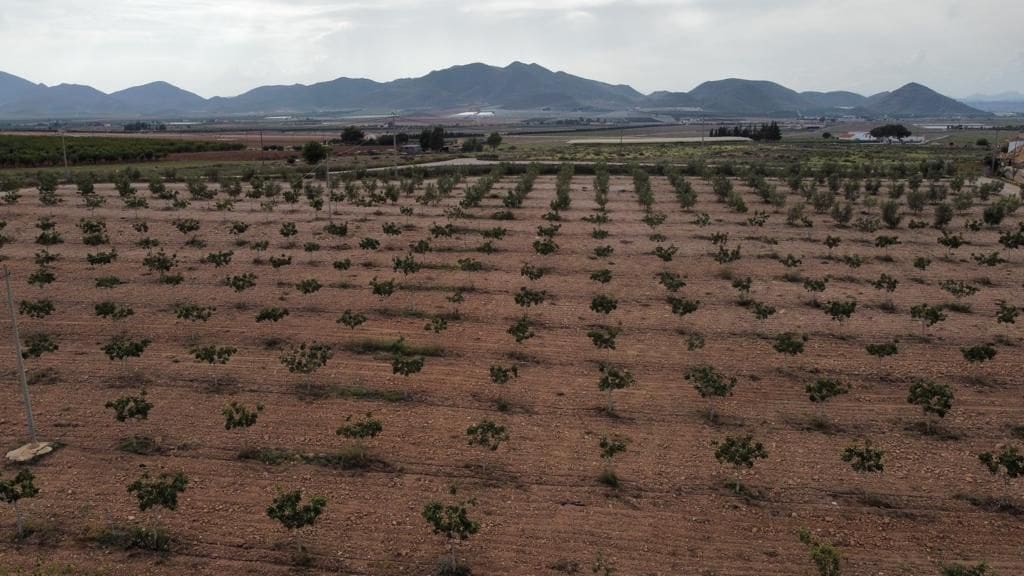 7 soverom Hus til salgs i Purias med garasje - € 429 000 (Ref: 9446580)