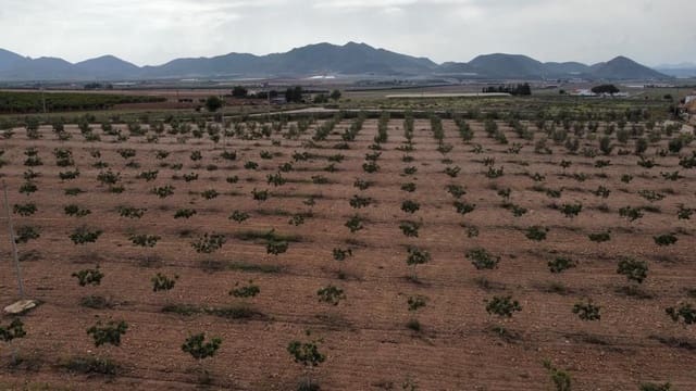 7 soveværelse Byhus til salg i Purias, Lorca med garage - € 429.000 (Ref: 9446580)