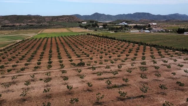 7 soveværelse Byhus til salg i Purias, Lorca med garage - € 429.000 (Ref: 9446580)