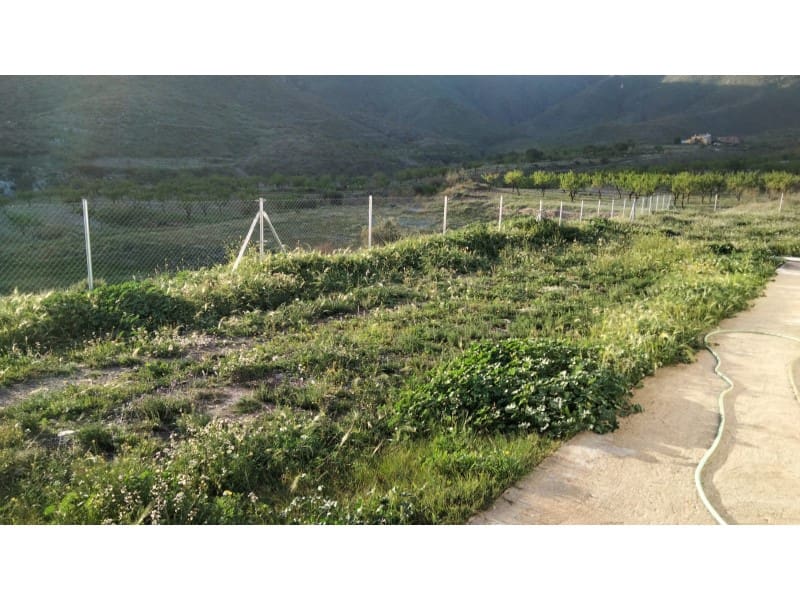 Finca/Maison de Campagne de 2 chambres à louer à Uleila del Campo - 1 500 € (Ref: 9670407)