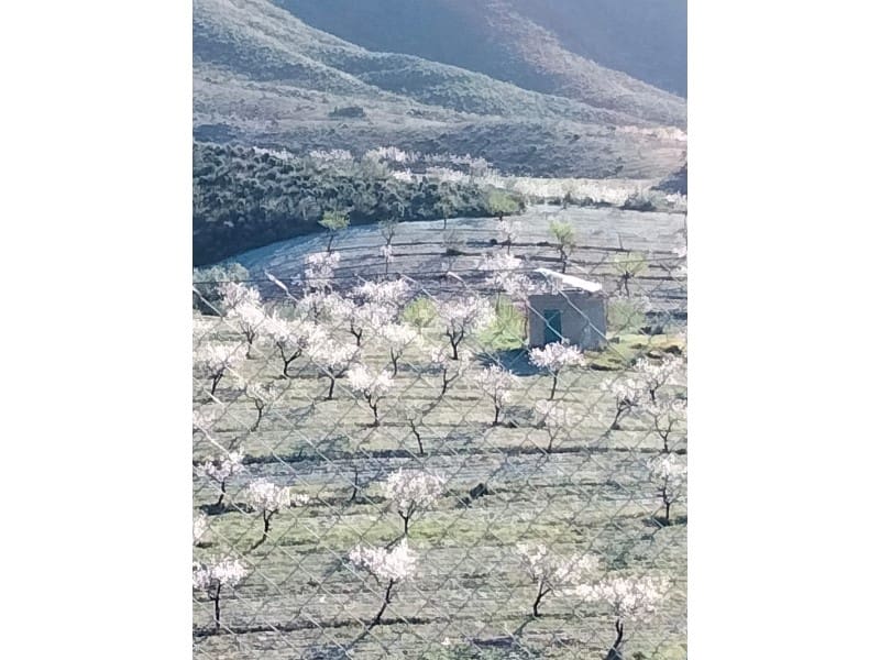 Finca/Maison de Campagne de 2 chambres à louer à Uleila del Campo - 1 500 € (Ref: 9670407)