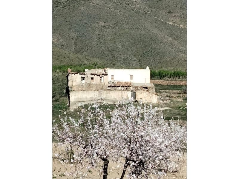 Finca/Maison de Campagne de 2 chambres à louer à Uleila del Campo - 1 500 € (Ref: 9670407)