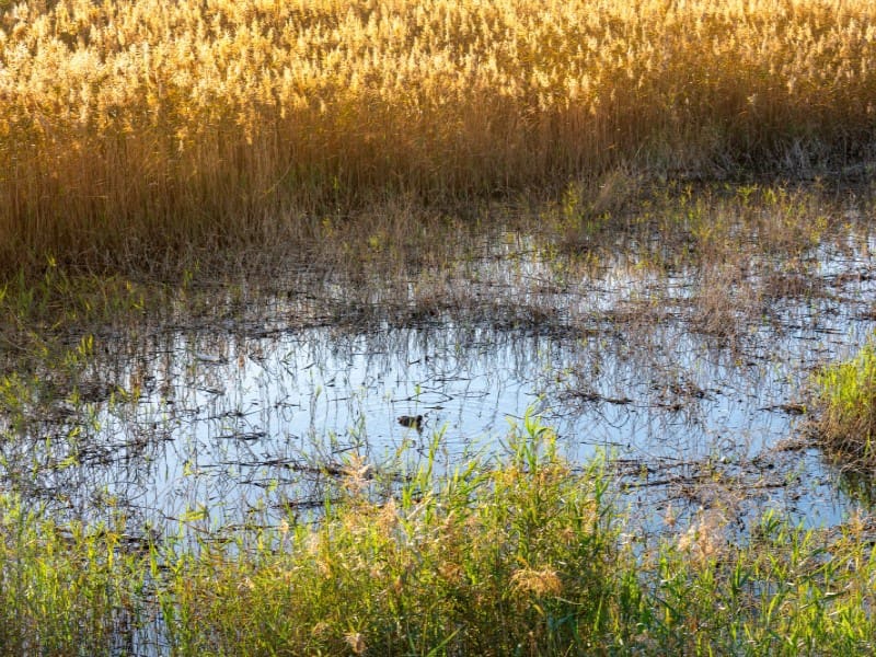 3 Zimmer Wohnung zu verkaufen in Vera mit Pool - 330.000 € (Ref: 9674116)