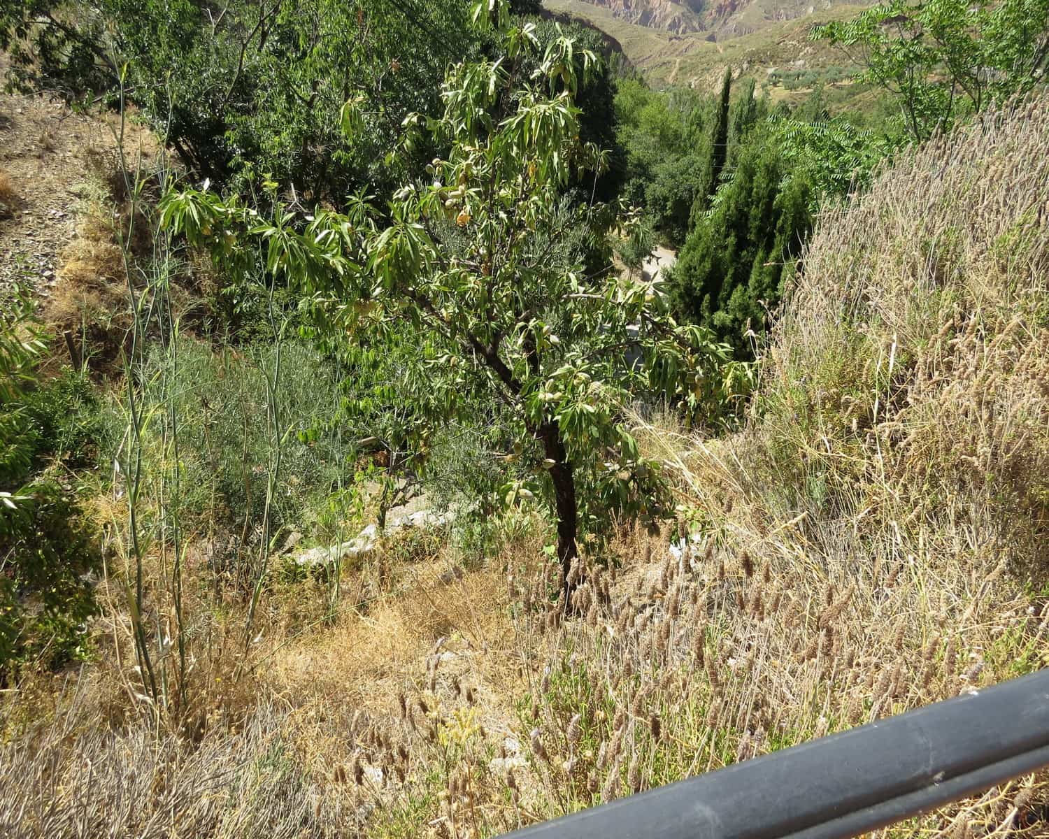 3 quarto Quinta/Casa Rural para venda em Valor com garagem - 132 000 € (Ref: 10022962)