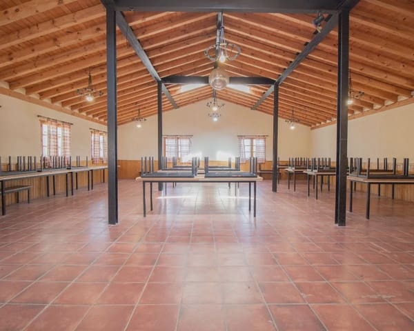 27 bedroom Finca/Country House for sale in Boceguillas with pool - € 1,200,000 (Ref: 10022968)