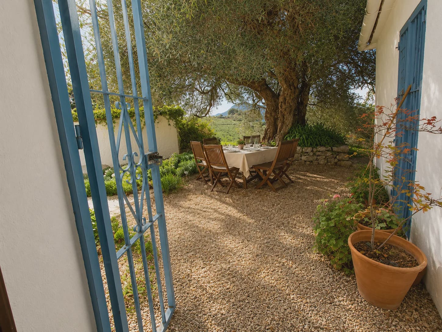 3 chambre Finca/Maison de Campagne à vendre à Algatocin avec piscine - 495 000 € (Ref: 10022973)