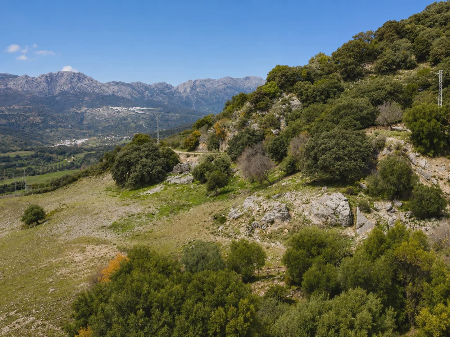 3 chambre Finca/Maison de Campagne à vendre à Algatocin avec piscine - 495 000 € (Ref: 10022973)