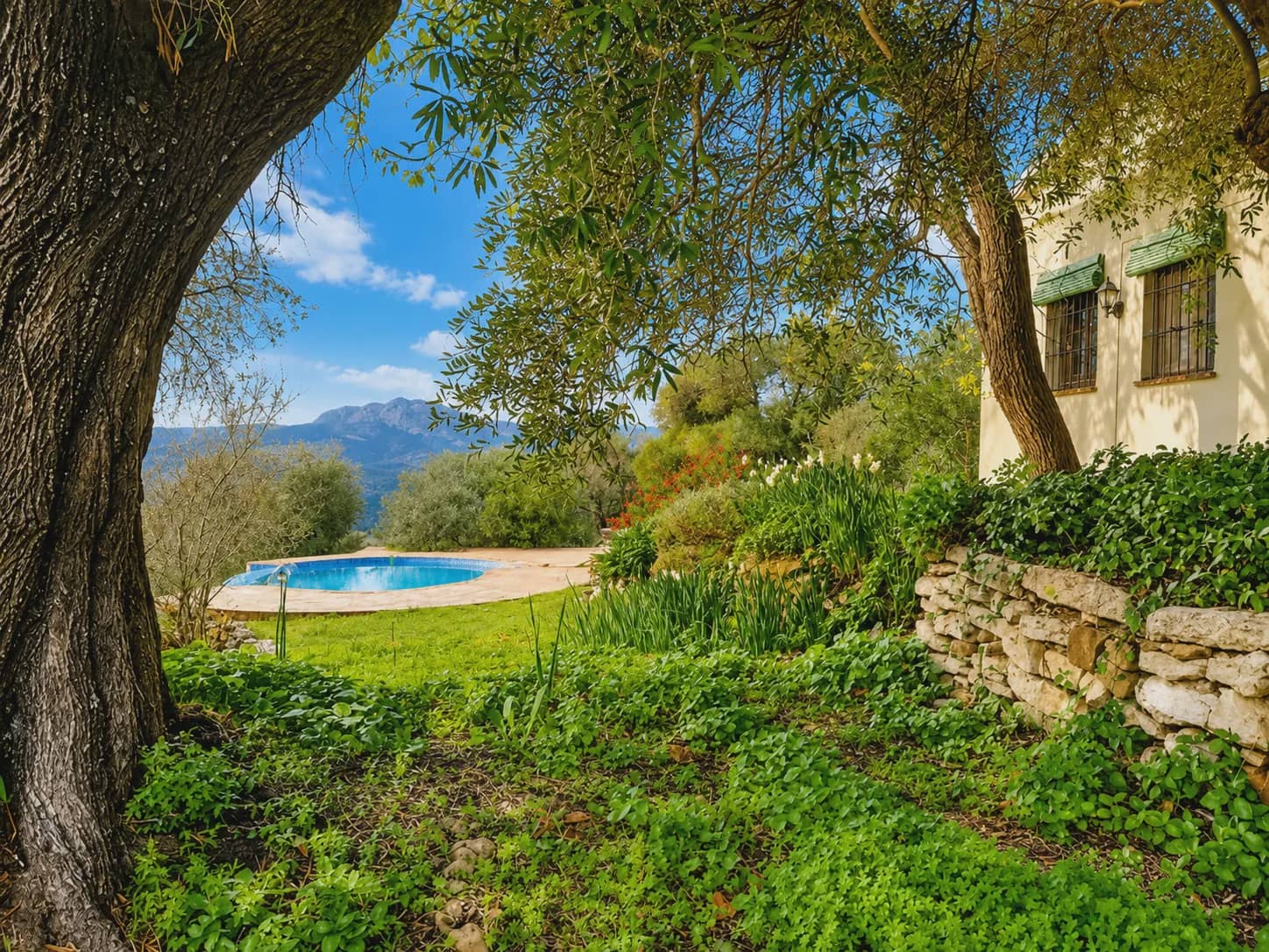 3 chambre Finca/Maison de Campagne à vendre à Algatocin avec piscine - 495 000 € (Ref: 10022973)
