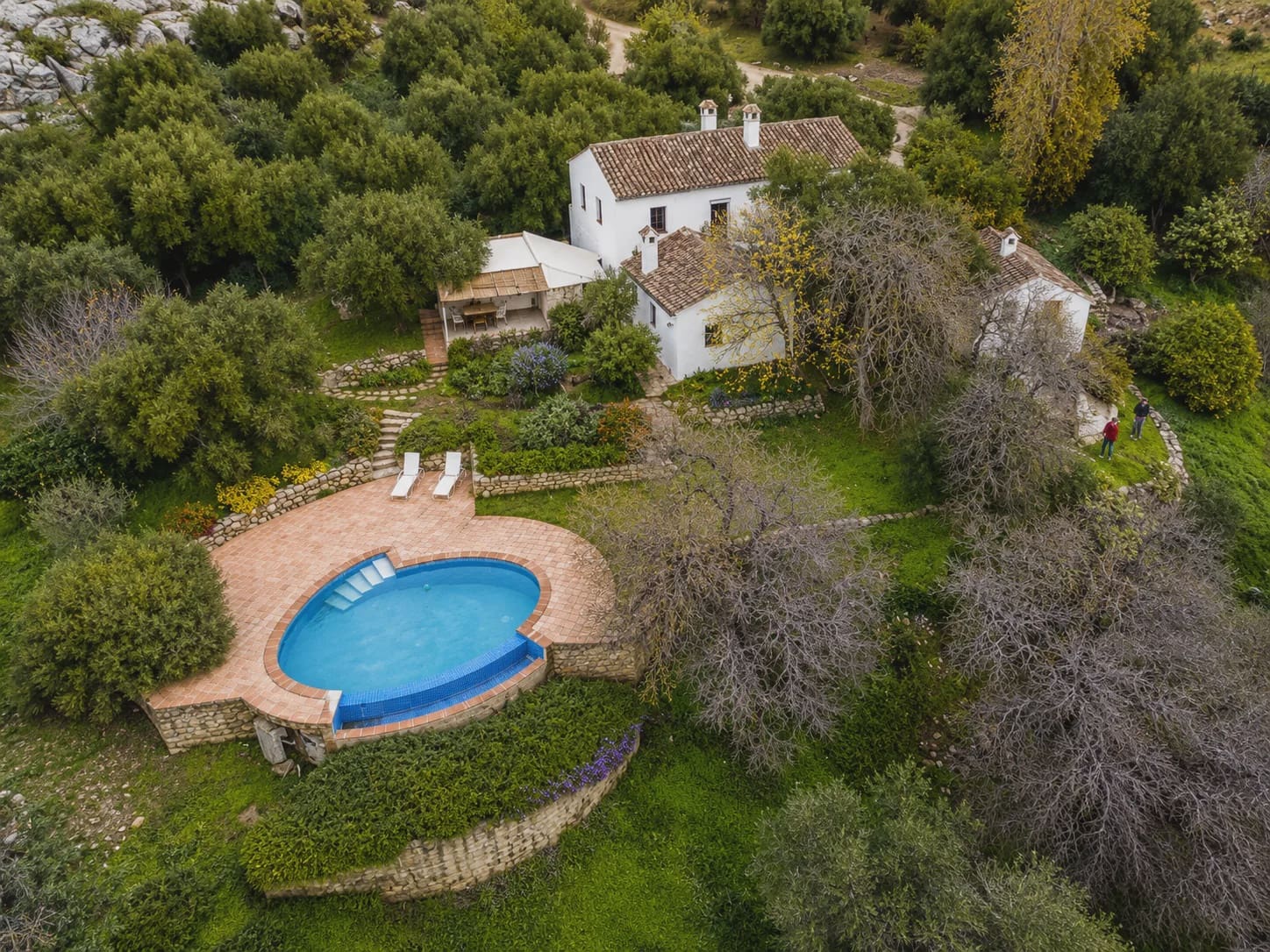 3 chambre Finca/Maison de Campagne à vendre à Algatocin avec piscine - 495 000 € (Ref: 10022973)