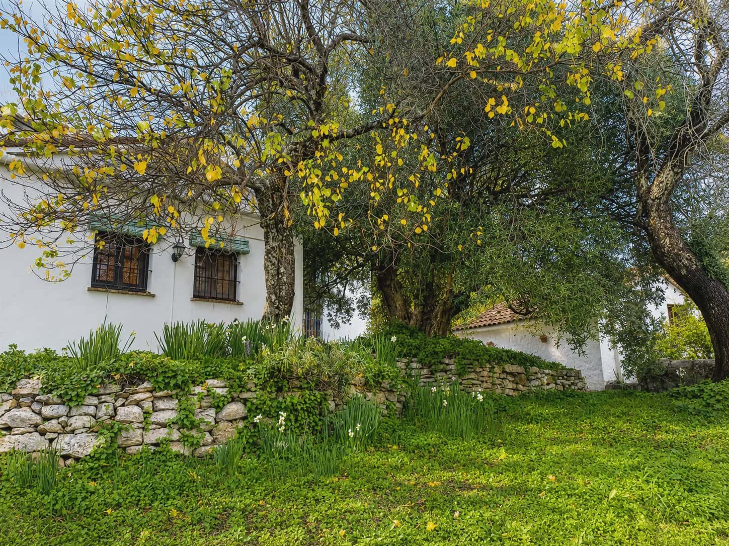 3 chambre Finca/Maison de Campagne à vendre à Algatocin avec piscine - 495 000 € (Ref: 10022973)