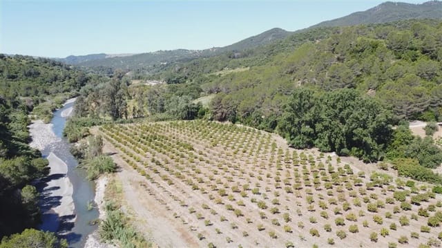 8 bedroom Finca/Country House for sale in Gaucín with pool - € 2,800,000 (Ref: 10022979)