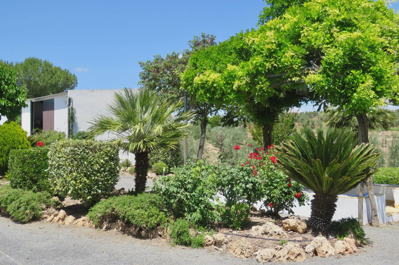11 Zimmer Finca/Landgut zu verkaufen in Lucena mit Pool Garage - 950.000 € (Ref: 10022982)
